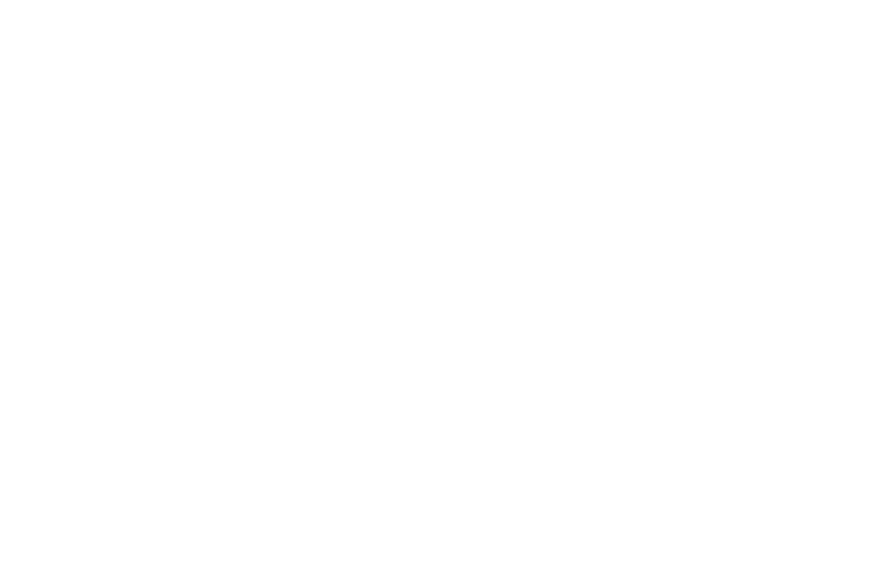 Asesores Financieros VG